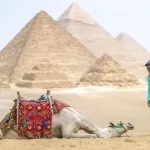Giza Pyramids Memphis Saqqara Private Day Tour