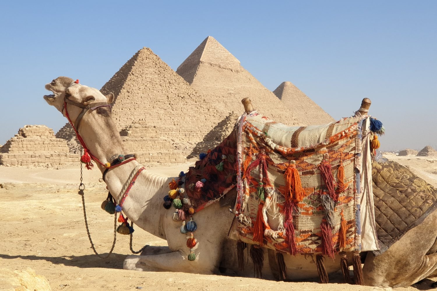 Camel ride trip around Giza Pyramids