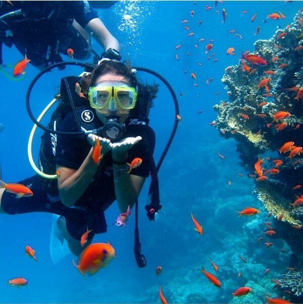 red sea diving Sharm el Sheikh