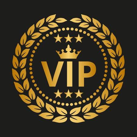 VIP touristic service in Egypt