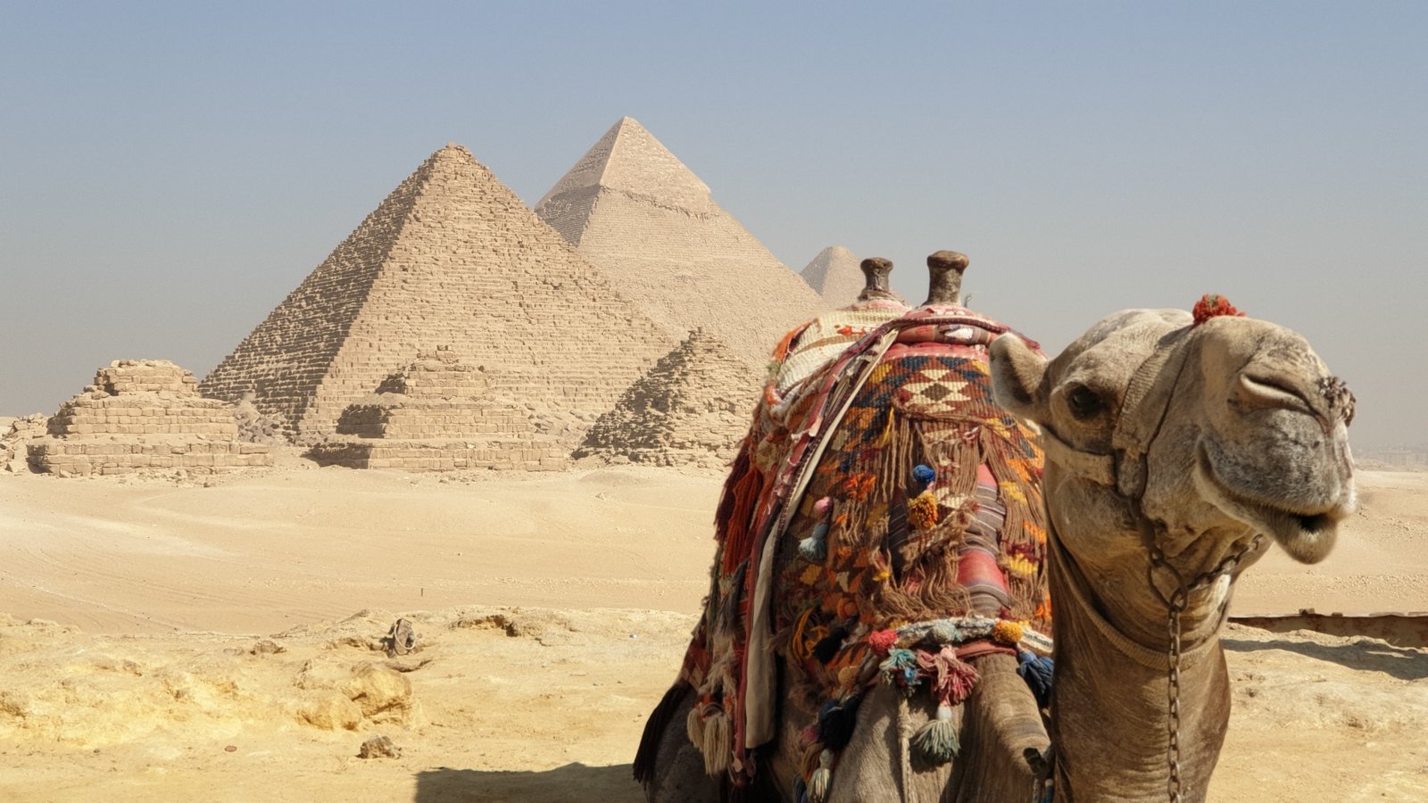 7 nights Egypt tour package with Nile cruise