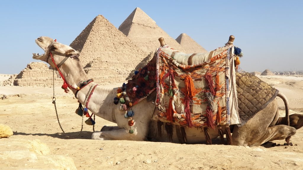 Giza Pyramids Day Tour by Car From Sharm El Sheikh