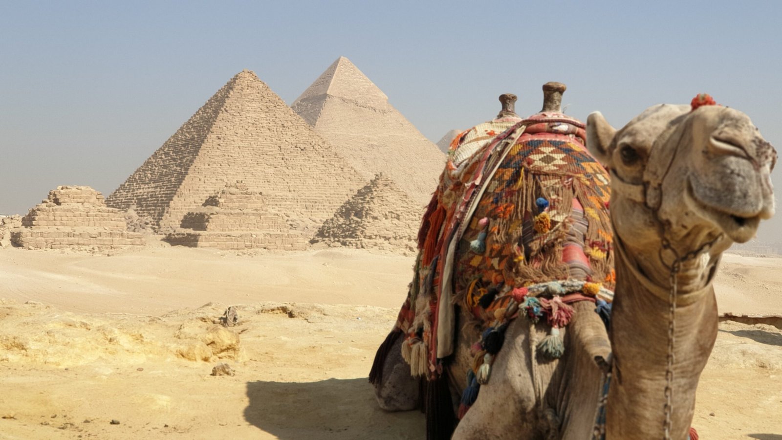 Giza Pyramids and Sphinx Full Day Tour