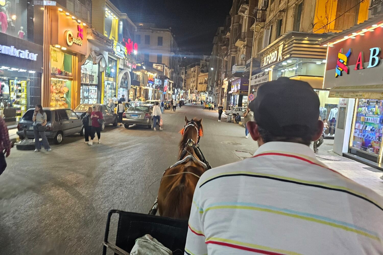 Horse Carriage Ride Trip in Alexandria | Alexandria Tours