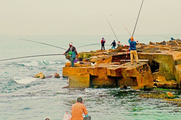 Fishing in Alexandria