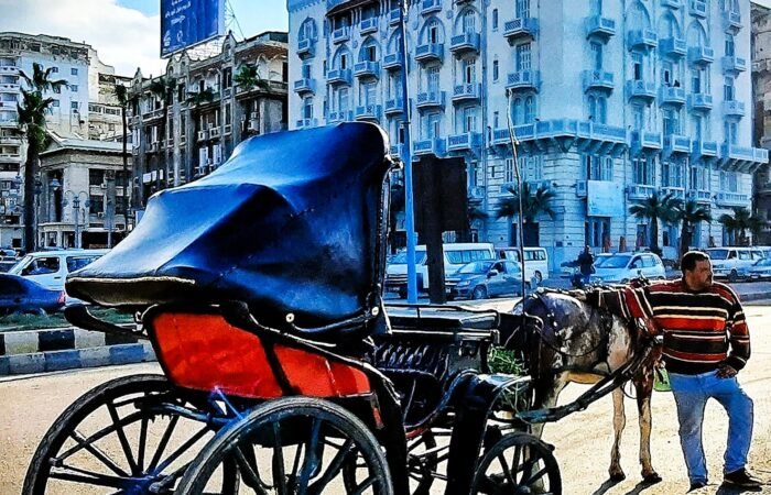 Horse Carriage Ride Trip in Alexandria