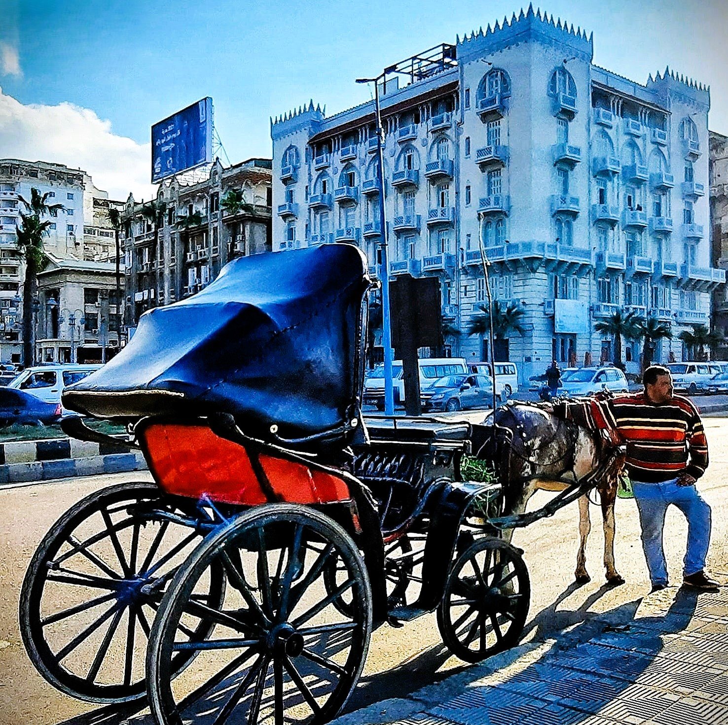 Horse Carriage Ride Trip in Alexandria